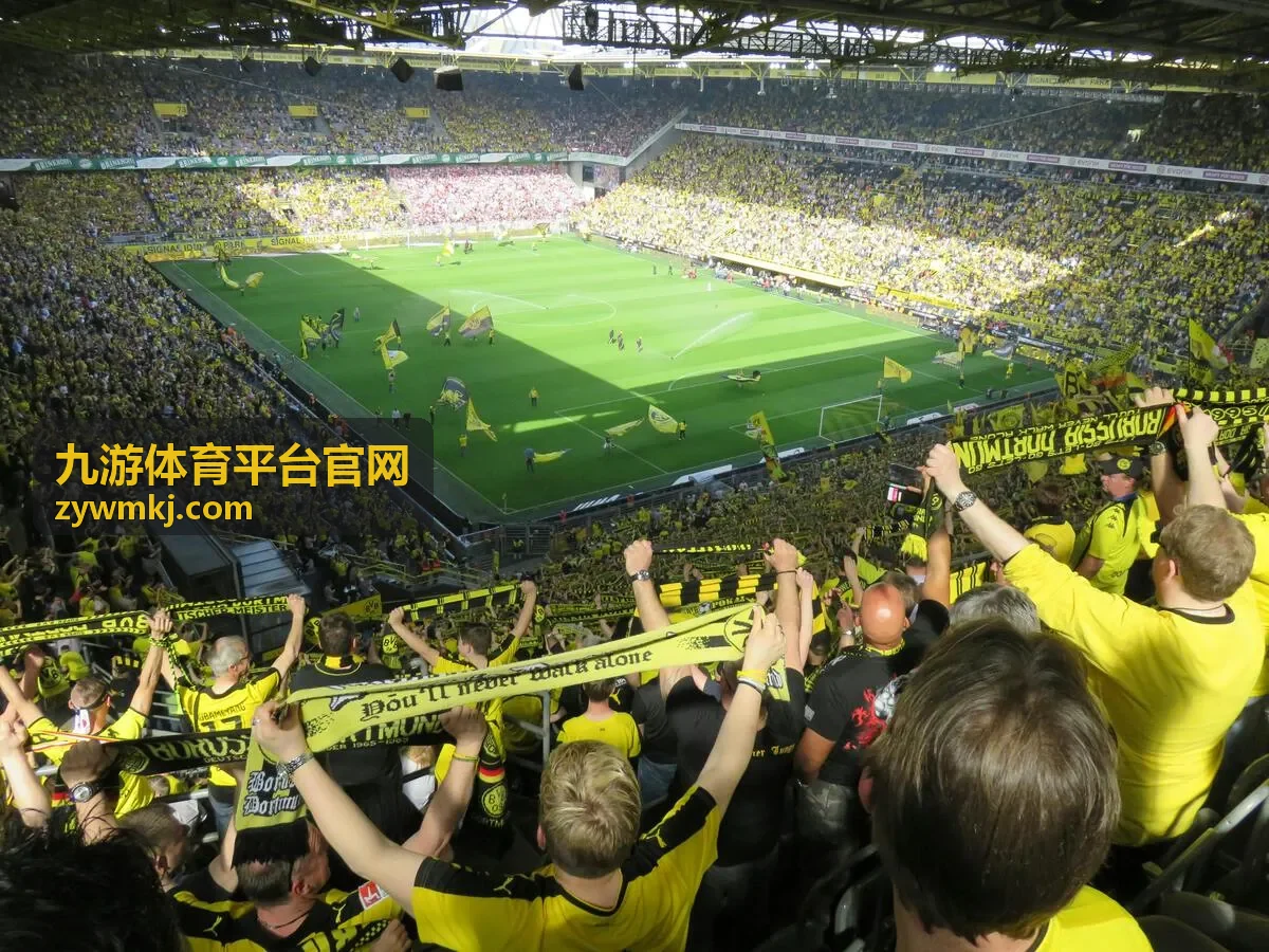 九游体育平台官网关注提醒界面