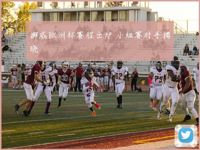 挪威欧洲杯赛程出炉 小组赛对手揭晓