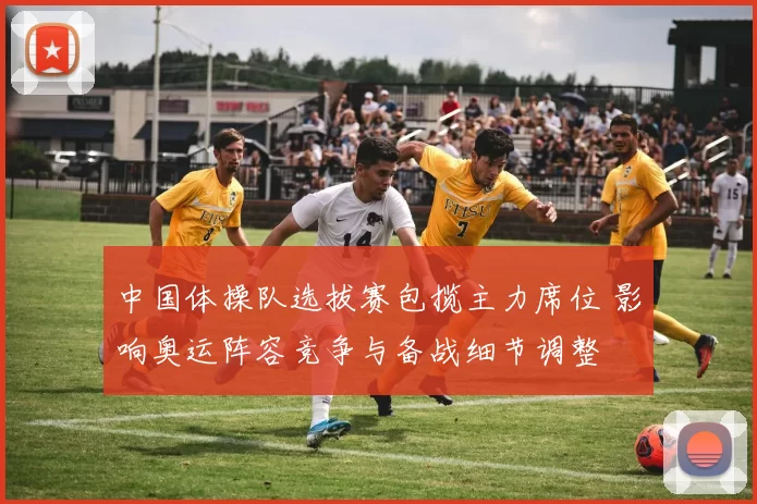 中国体操队选拔赛包揽主力席位 影响奥运阵容竞争与备战细节调整