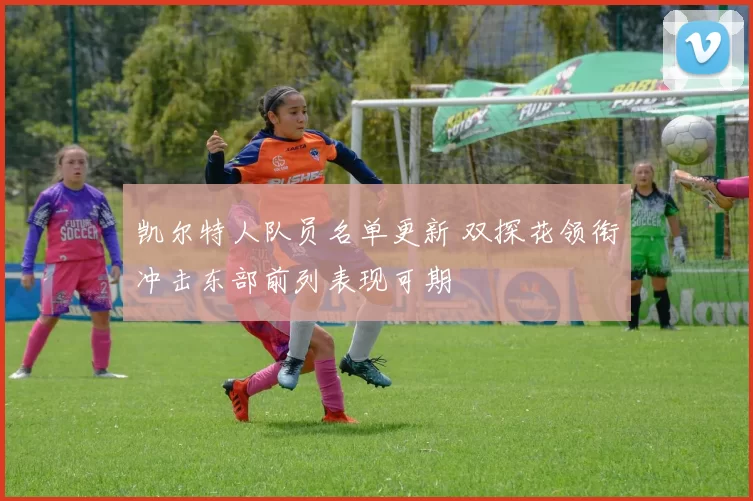 凯尔特人队员名单更新 双探花领衔冲击东部前列表现可期